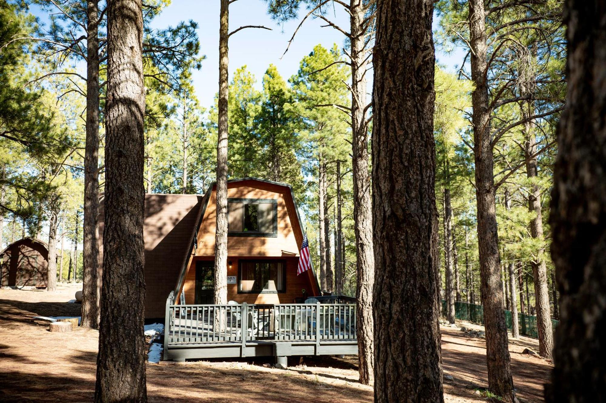Grand Canyon Cabin! One Hour And 10 Minutes To The South Entrance! Williams Extérieur photo