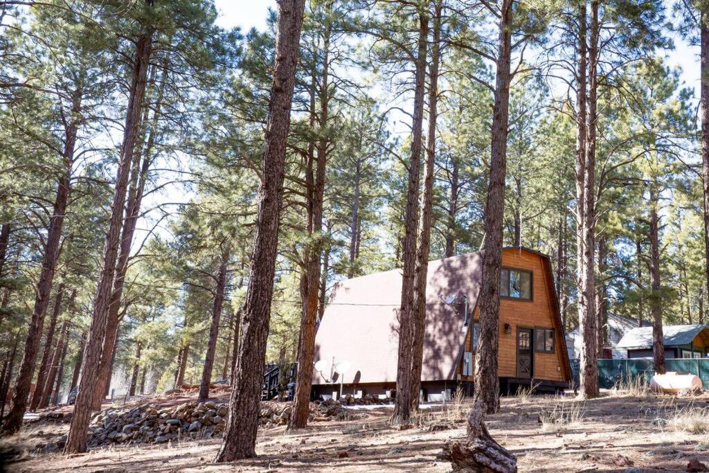Grand Canyon Cabin! One Hour And 10 Minutes To The South Entrance! Williams Extérieur photo