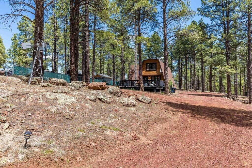 Grand Canyon Cabin! One Hour And 10 Minutes To The South Entrance! Williams Extérieur photo